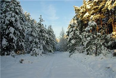 自动化类分手厨房游戏《速速上菜！》万圣节更新