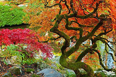 《鳄鱼侦探布罗格》更新 加入本地合作游戏模式